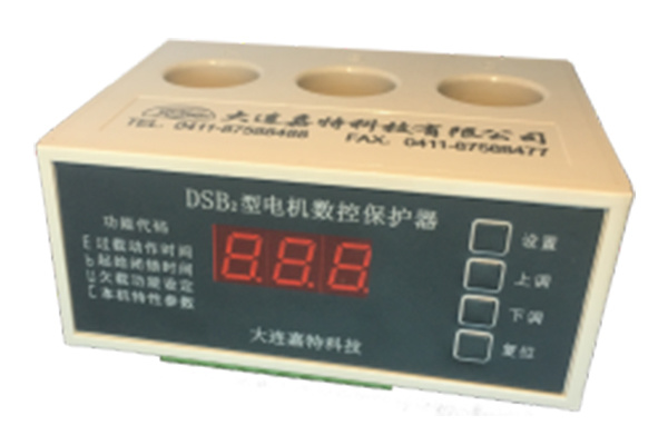 DSB2